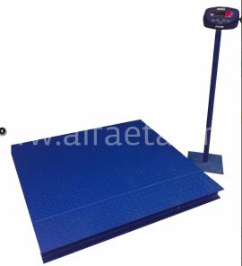 ���� �������������