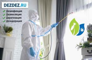 Профессиональная дезинсекция, дератизация и дезинфекция в Москве
