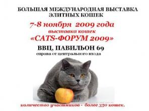      " CATS- 2009"
