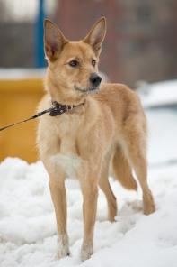 �����, �����-����� � ������ ����