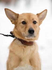 �����, �����-����� � ������ ����