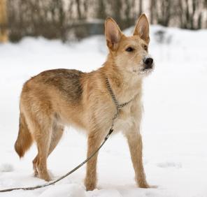 �����-�����-����� � ������ ����