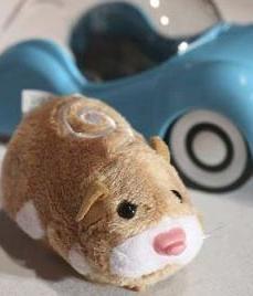      Zhu Zhu Pets