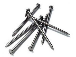 ������ ������������ �����������