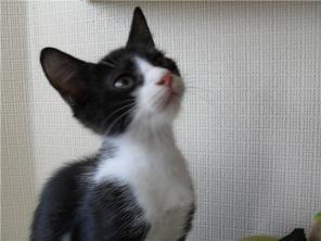   , 3 ., ,    !