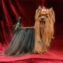 ������������ ������� ������ - �������� ������ -��� �����