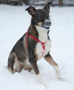 �����, ������� ����� 6 ������� � ���