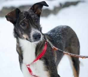 �����, ������� ����� 6 ������� � ���