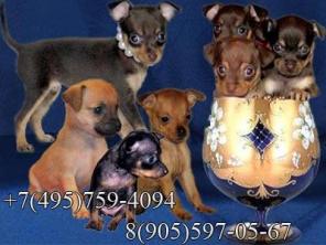 �������� � ������� ���-������ ���� ����� ���������� � �������