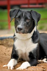 ��������� ����, 2 ���� � ������� ����