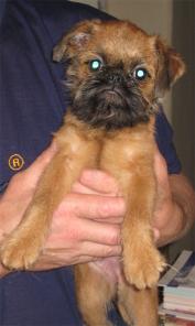 ����� ������������� �������� � ������ ����������