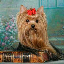 ������������ ������� ����� � ������ ��� �����