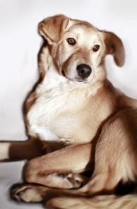 ����� ����� ����� 8 �������