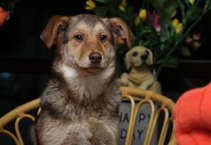 ����� (�������)