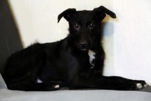 ����� �����. ����� 6 �������.