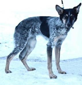 ����� ���������� �����!