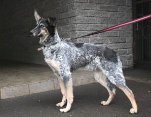 ����� ���������� �����!