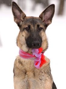 � ��� �������� � ����� ��������� ������� 6 ���!