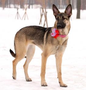 � ��� �������� � ����� ��������� ������� 6 ���!