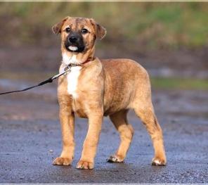 ������� ������� � ������ ����!