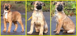 ������� ������� � ������ ����!