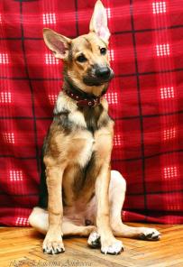 ��������, ������, ������� ������!