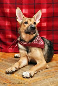 ��������, ������, ������� ������!