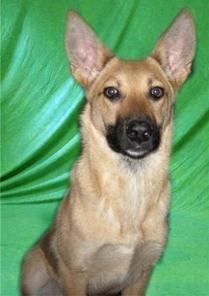 ������� ������� �����, ����� ����-�������!