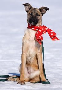 ������� ������, �������� 4 ���, ���� ���!