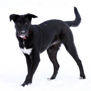 ������ �������� ���� - ����� ������ ����� � ������ ����!