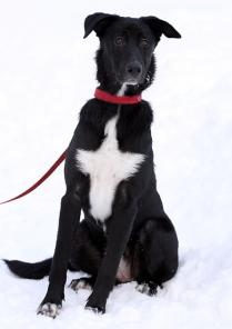 ������ �������� ���� - ����� ������ ����� � ������ ����!