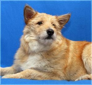 ������� ����� - ��������� �������� ������, ����� �����!