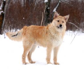 ������� ����� - ��������� �������� ������, ����� �����!