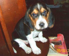 ����� ��������� ������