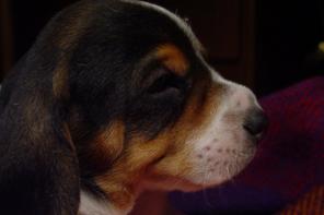 ����� ��������� ������