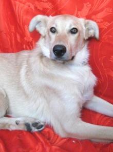 ������� ����� ��������� ���� 7 ���, �����!