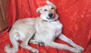 ������� ����� ��������� ���� 7 ���, �����!