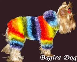       "Bagira-Dog"