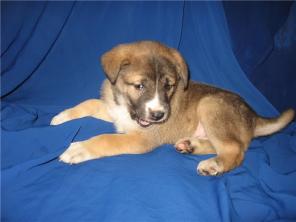 ����� �������������� �����-�������� � �����-������� 2 ������