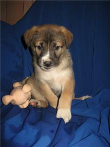 ����� �������������� �����-�������� � �����-������� 2 ������