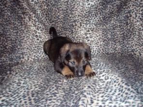 ��� ��������� ������� � ���!