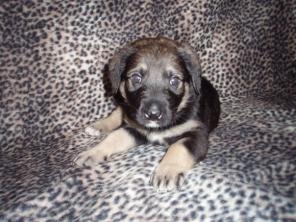 ��� ��������� ������� � ���!