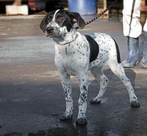 ������������� ������ ���� ���� ���.