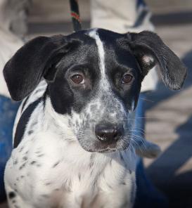 ������������� ������ ���� ���� ���.