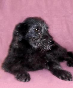 ��������������  ���� � �����, 5 ���. � ������� ����!