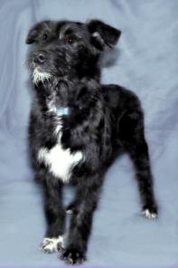 ����� ����� � �����. ������, ����! � ������� ����!