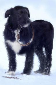 ����� ����� � �����. ������, ����! � ������� ����!