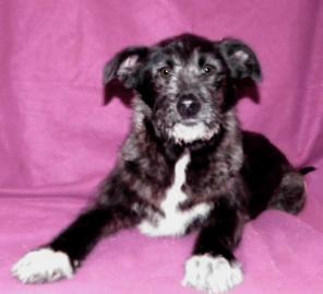 ��������� ���� -  ����� �������, 5 ���.. � ������� ����!