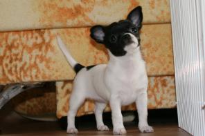 �������� �����.