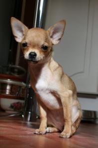 �������� �����.